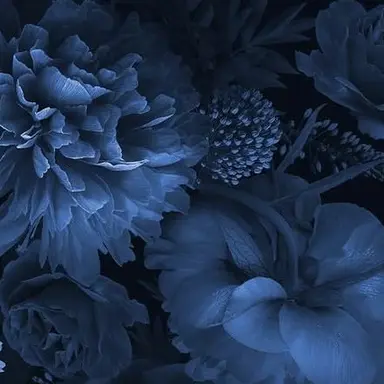 Profile image of 랏다