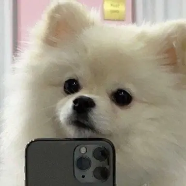 Profile image of 멍사장님