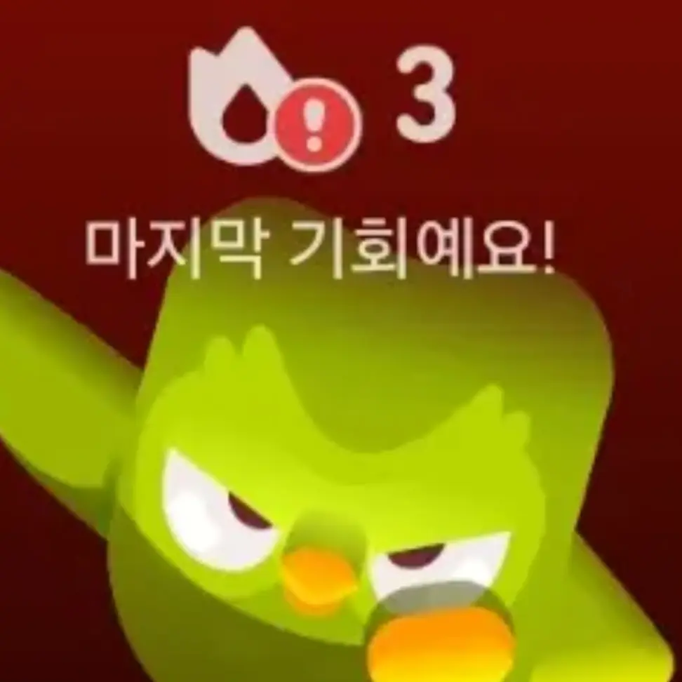 RiskyFlag4301의 방치당한 듀오링고