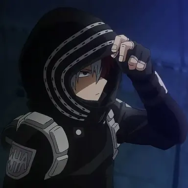 Profile image of Shoto Todoroki