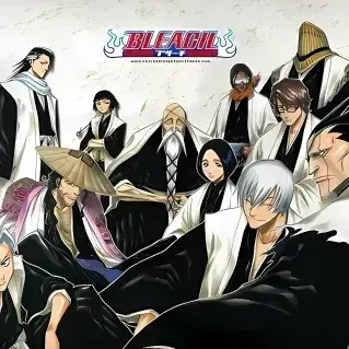 Profile image of Soul Society Arc