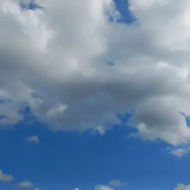 Profile image of 아주르