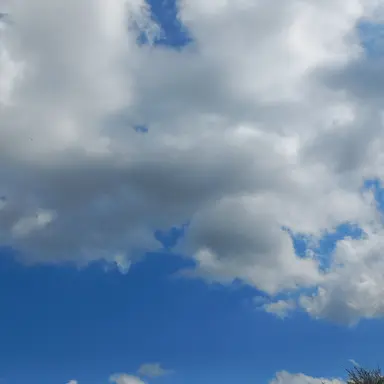 Profile image of 유노이아