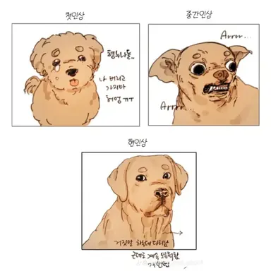 Profile image of 덕개