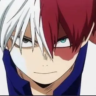 Profile image of Shoto Todoroki