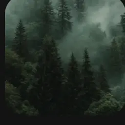 AsuraMizyuLilyum의 Cullen family - Renessme’s aunt