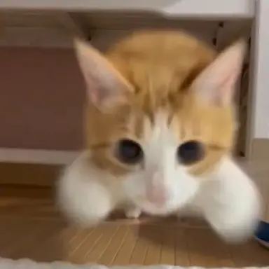 Profile image of 이경민