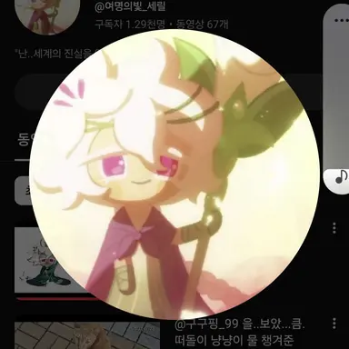 Profile image of 류핑