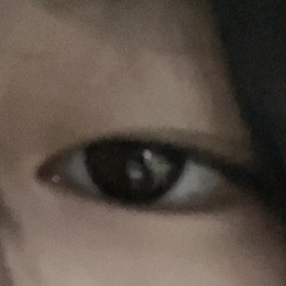 정야운