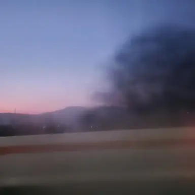 Profile image of 여우