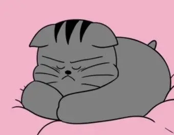 Profile image of 땅땅이
