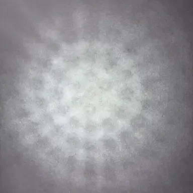Profile image of リノ