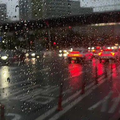 Profile image of 황수현