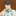 오이카와 토오루