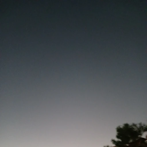 권숝영.