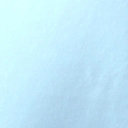 김동현
