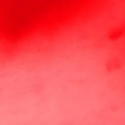 Profile image of 曽野舜太
