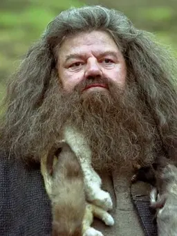 Profile image of Hagrid