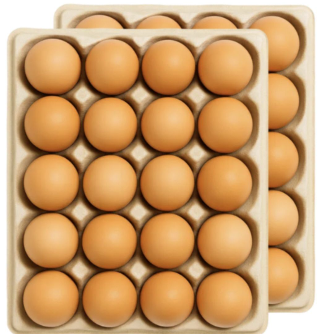 달걀 40구 대표 이미지
