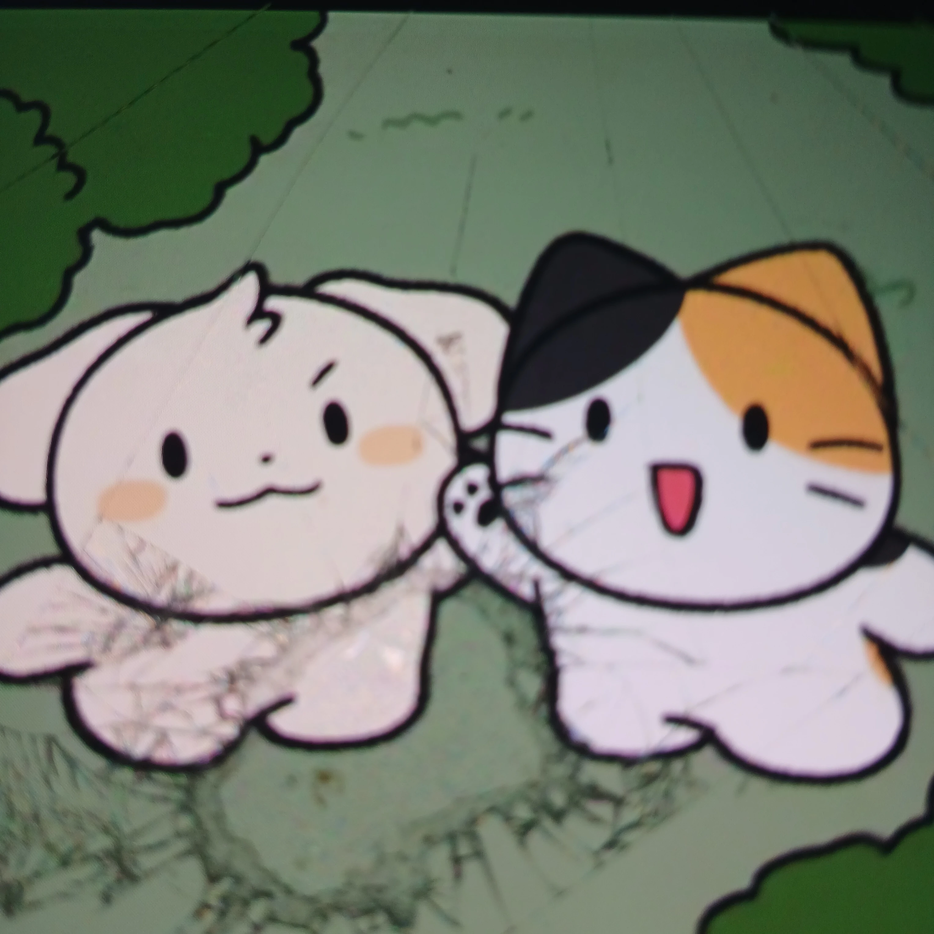 피마이펫