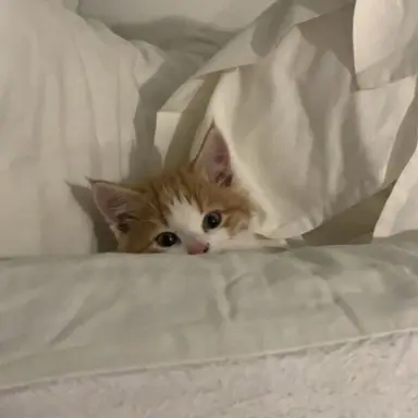 Profile image of 바다