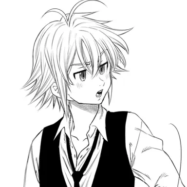 Profile image of メリオダス