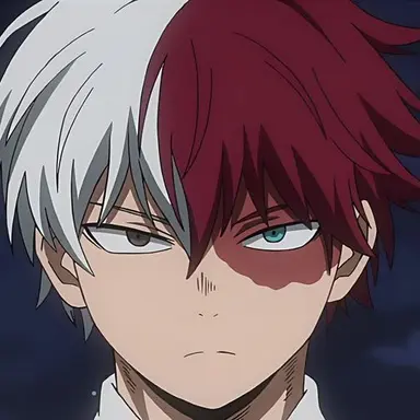 Profile image of Todoroki