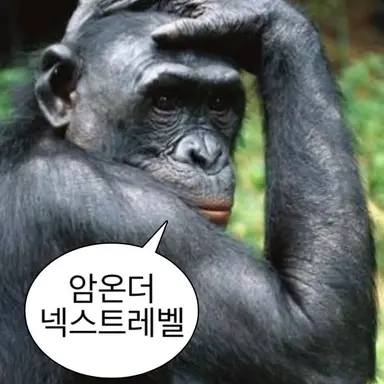 Profile image of 스위트베리