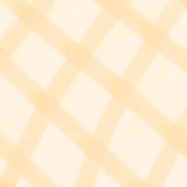 Profile image of ㅁㅈㅎ