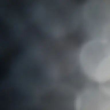 Profile image of 김동현