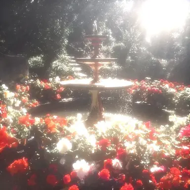 Profile image of 감 제이