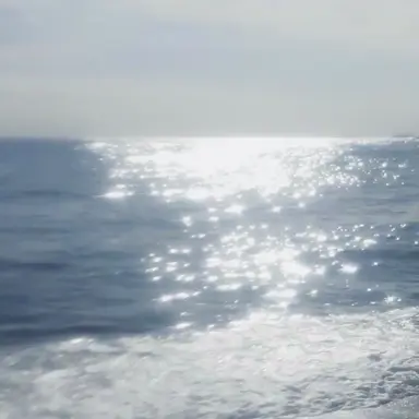 Profile image of 연이