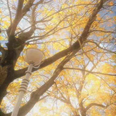 Profile image of 루이쨘