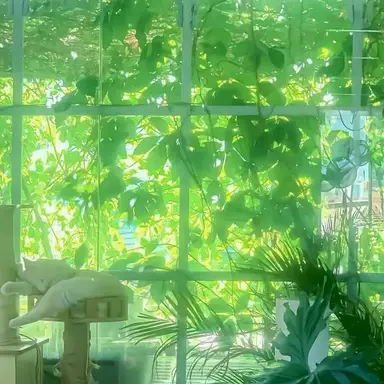 Profile image of 伊波