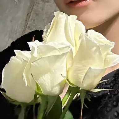 Profile image of ハニ