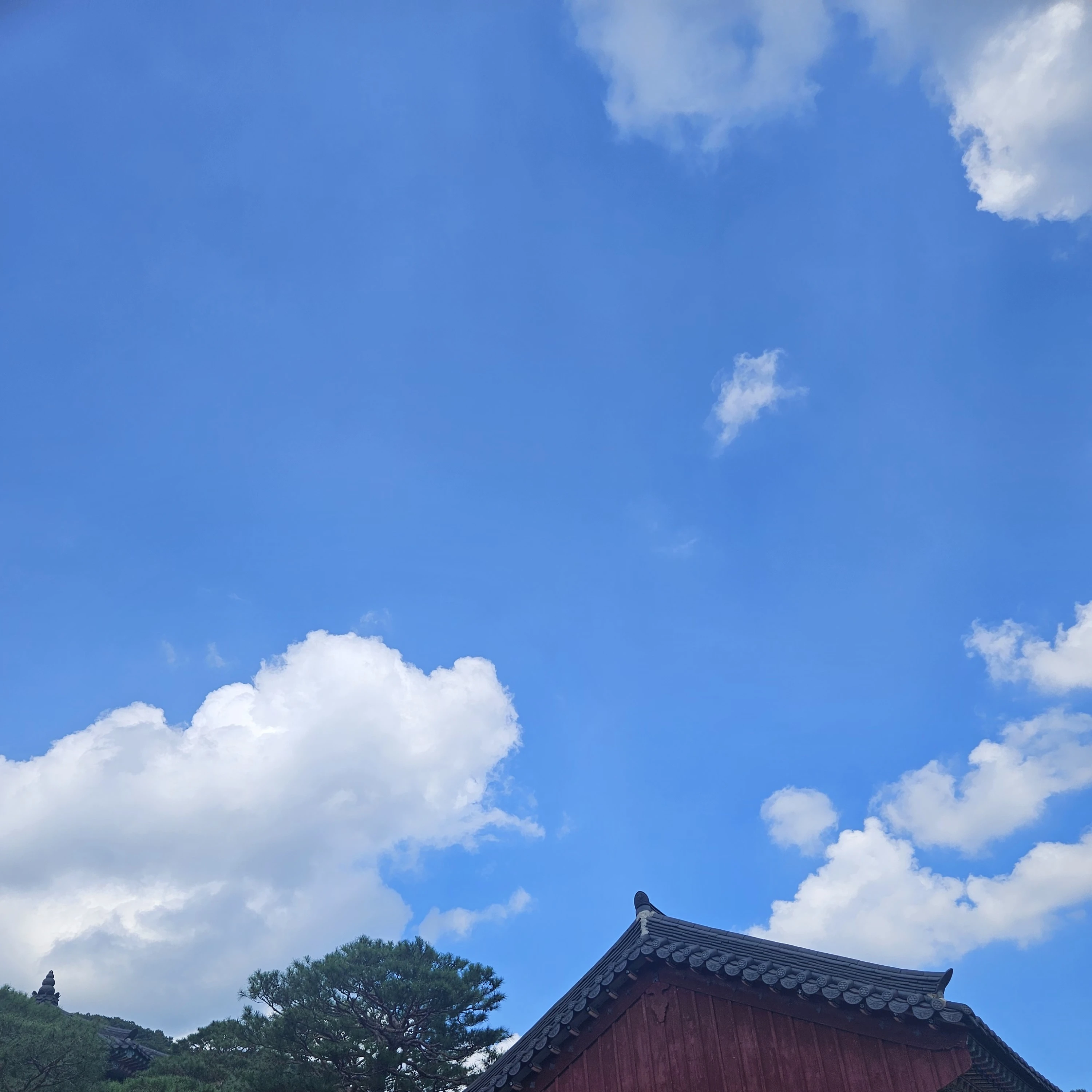 잭