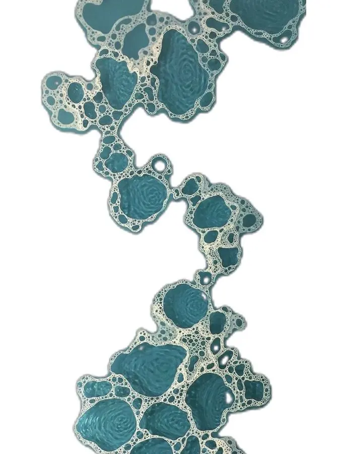 yumyum914의 한선우