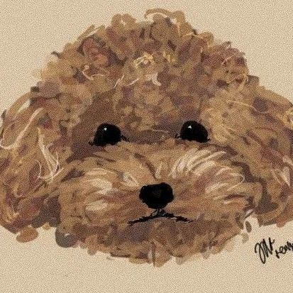 해피
