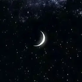 dream_lucia의 픽셀리 조직