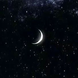 픽셀리 조직