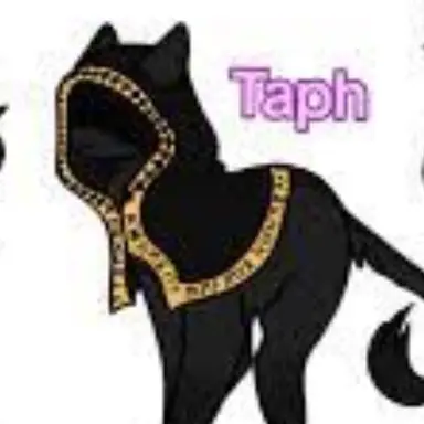 Profile image of タフ