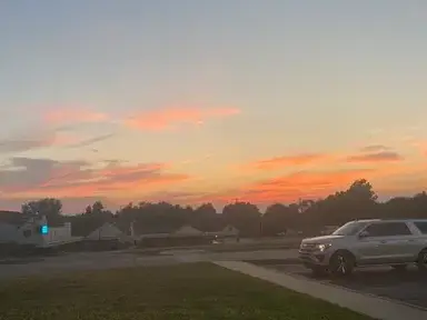 Profile image of Love island