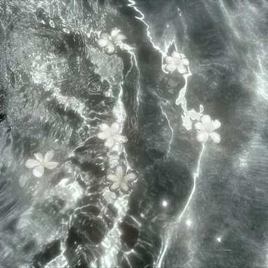 Profile image of 中村海人