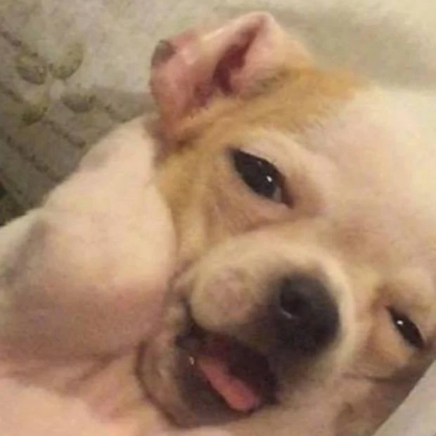 잉