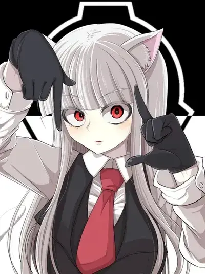 RoomyArmor1742의 Scp 040 JP