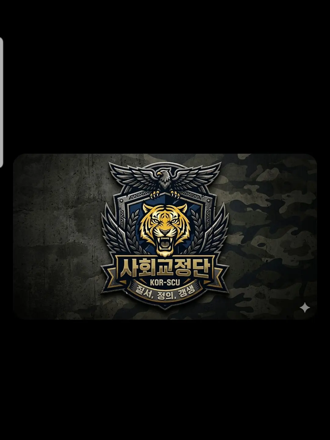 RancidPixel3872의 사회 교정단