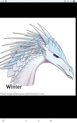 Profile image of Jade Winglet
