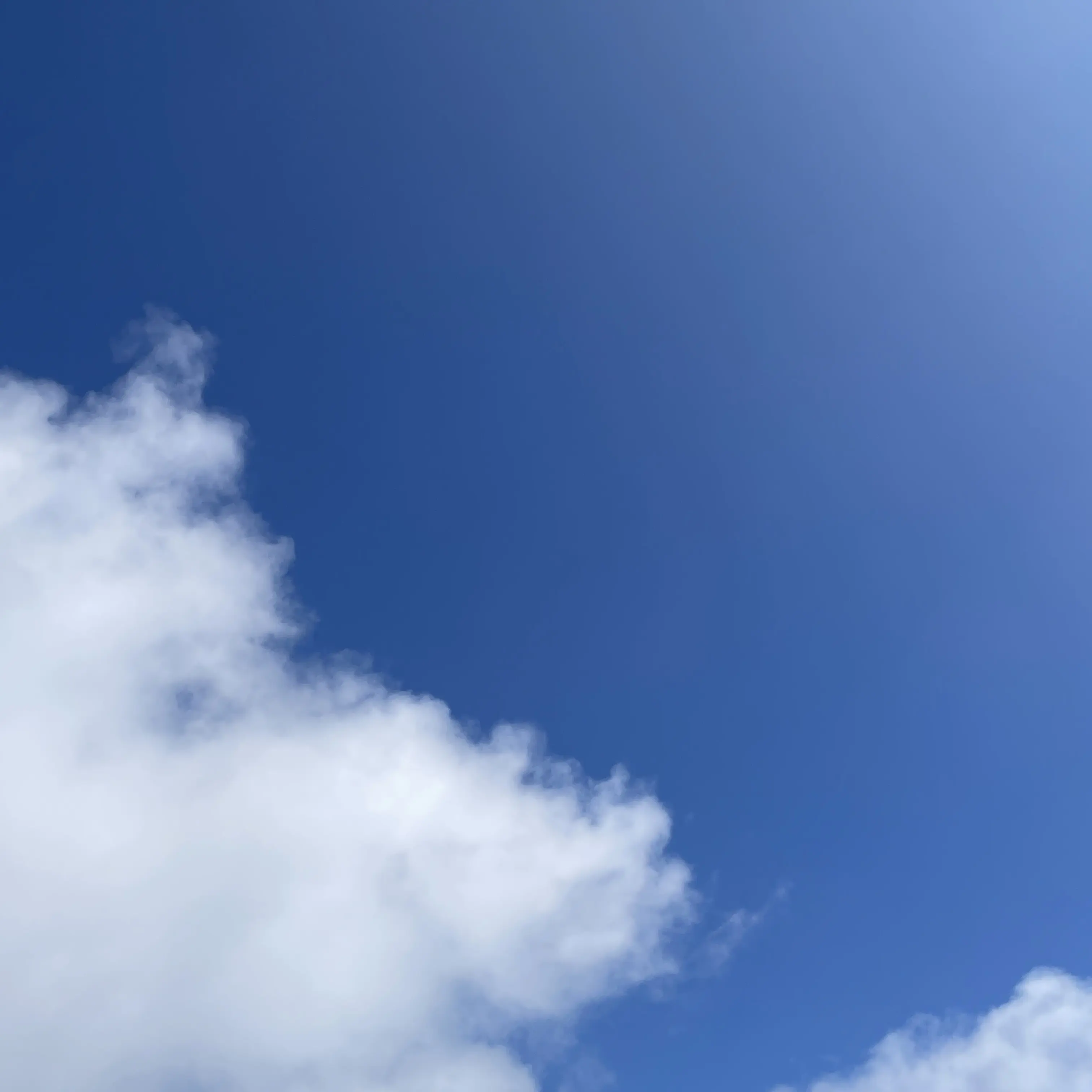 Lo7E의 대답하라 쌍팔년도