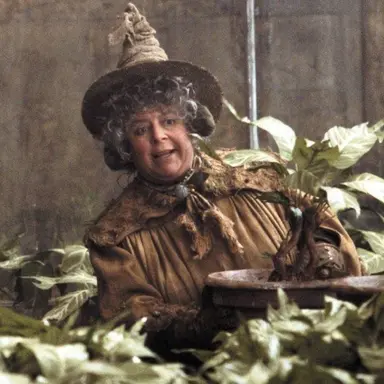 Profile image of Professor Sprout