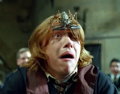 Profile image of Ron Weasley